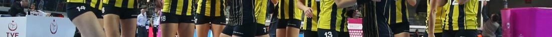 SARI MELEKLER