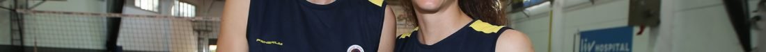 SARI MELEKLER