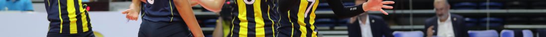 SARI MELEKLER
