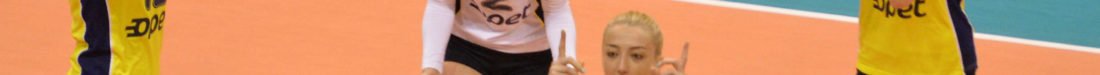 SARI MELEKLER