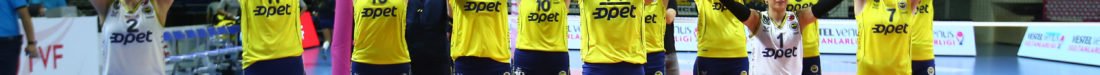 SARI MELEKLER