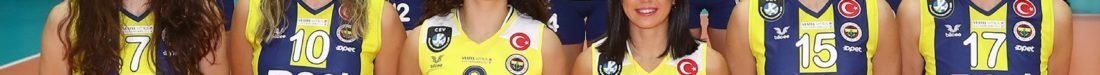 SARI MELEKLER