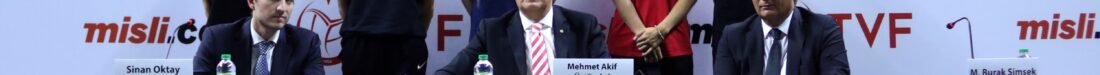 SARI MELEKLER
