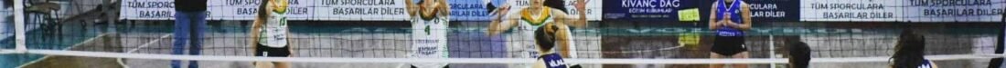 SARI MELEKLER
