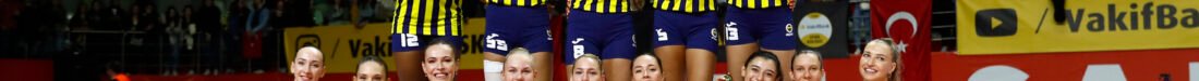 SARI MELEKLER