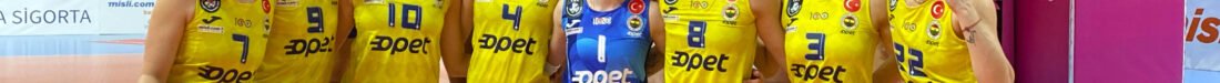 SARI MELEKLER