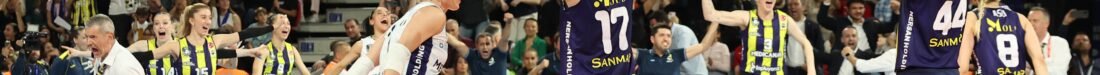 SARI MELEKLER