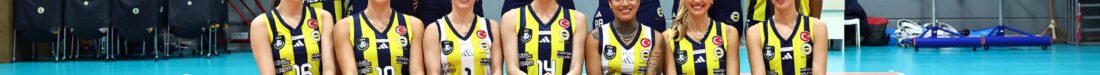 SARI MELEKLER